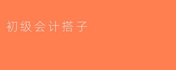 初级会计搭子