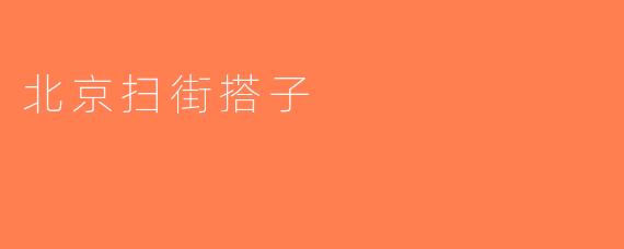 北京扫街搭子