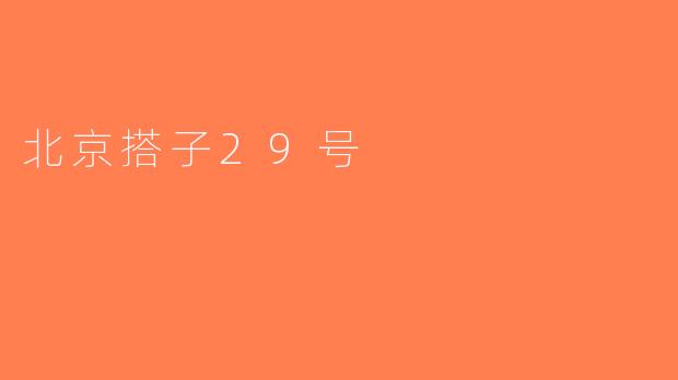 北京搭子29号