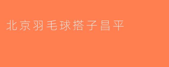北京羽毛球搭子昌平