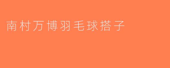 南村万博羽毛球搭子