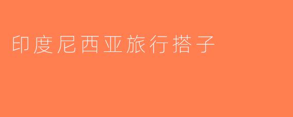 印度尼西亚旅行搭子