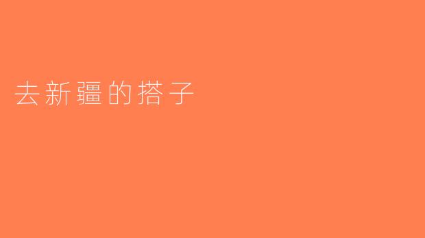 去新疆的搭子
