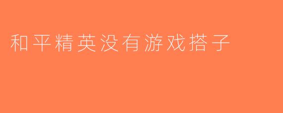 和平精英没有游戏搭子