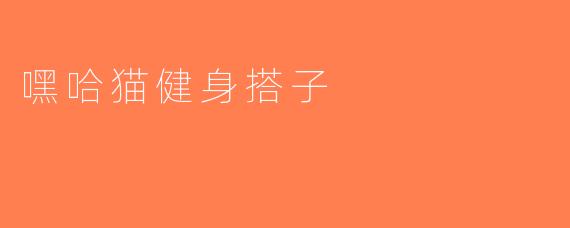 嘿哈猫健身搭子