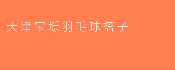 天津宝坻羽毛球搭子