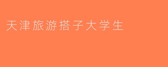 天津旅游搭子大学生