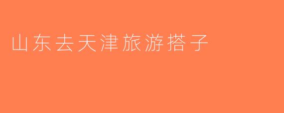 山东去天津旅游搭子