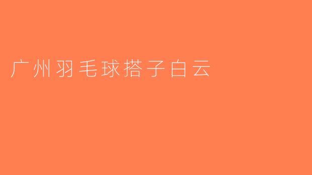 广州羽毛球搭子白云