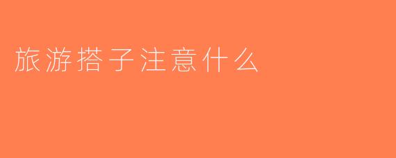 旅游搭子注意什么