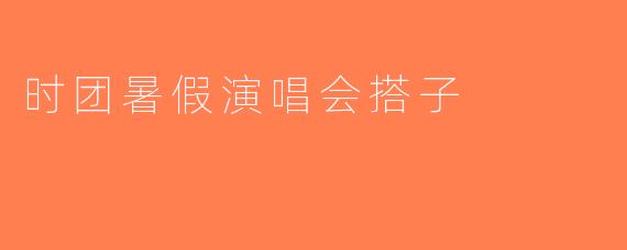 时团暑假演唱会搭子