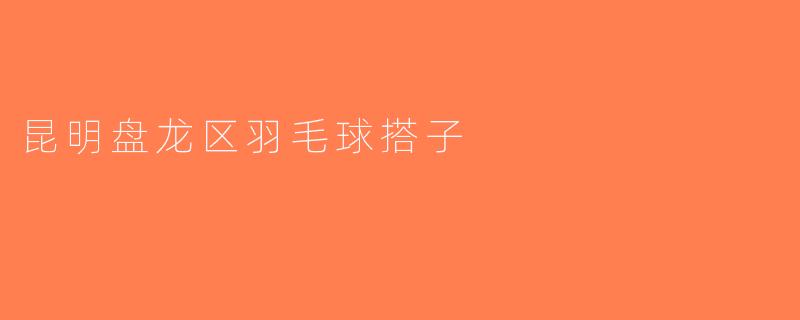 昆明盘龙区羽毛球搭子