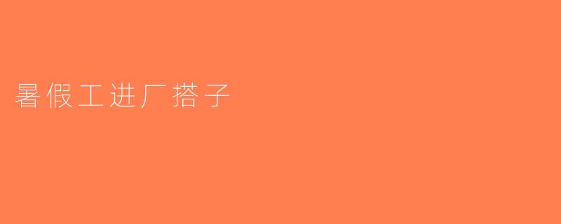 暑假工进厂搭子