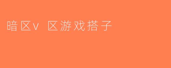 暗区v区游戏搭子