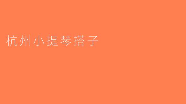 杭州小提琴搭子