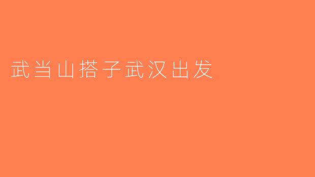 武当山搭子武汉出发
