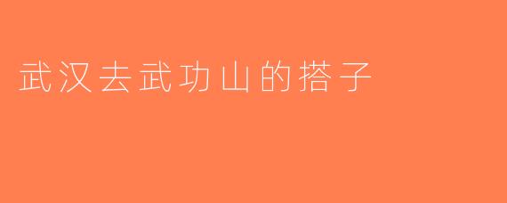 武汉去武功山的搭子