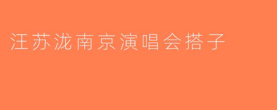 汪苏泷南京演唱会搭子