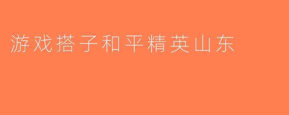 游戏搭子和平精英山东