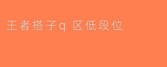 王者搭子q区低段位