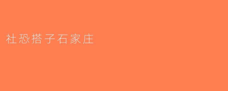 社恐搭子石家庄