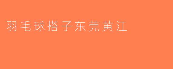 羽毛球搭子东莞黄江