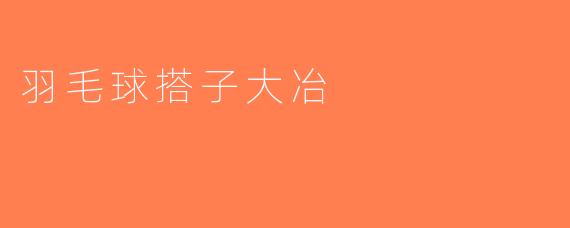 羽毛球搭子大冶