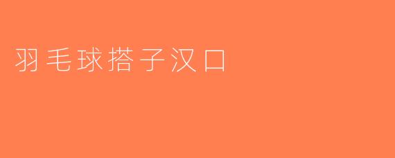 羽毛球搭子汉口