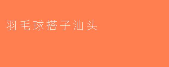 羽毛球搭子汕头