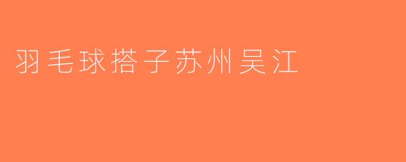 羽毛球搭子苏州吴江