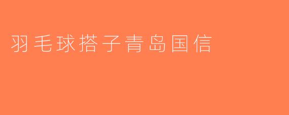 羽毛球搭子青岛国信
