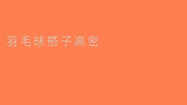 羽毛球搭子高密