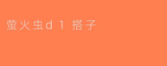萤火虫d1搭子