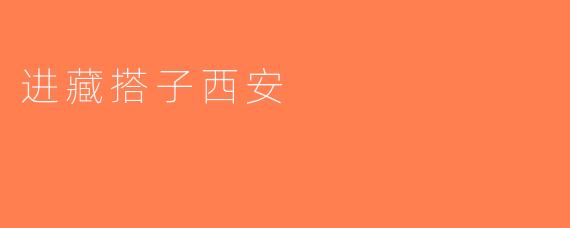 进藏搭子西安