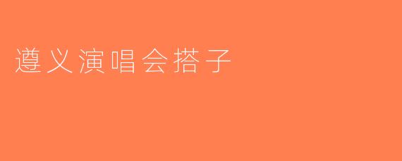 遵义演唱会搭子