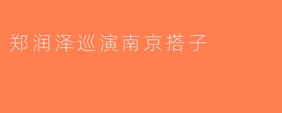 郑润泽巡演南京搭子