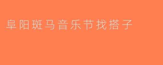 阜阳斑马音乐节找搭子