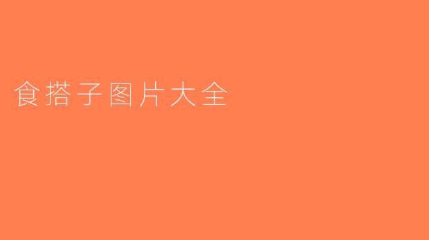 食搭子图片大全