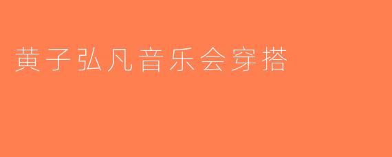 黄子弘凡音乐会穿搭