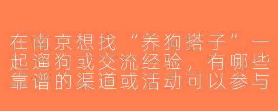 在南京想找“养狗搭子”一起遛狗或交流经验，有哪些靠谱的渠道或活动可以参与？