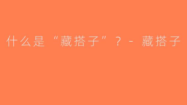什么是“藏搭子”？-藏搭子