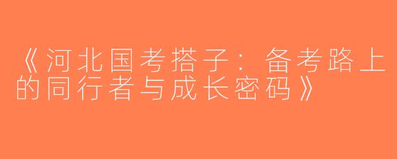 《河北国考搭子：备考路上的同行者与成长密码》