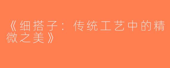 《细搭子：传统工艺中的精微之美》