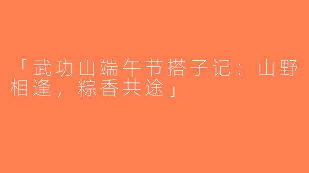 「武功山端午节搭子记：山野相逢，粽香共途」