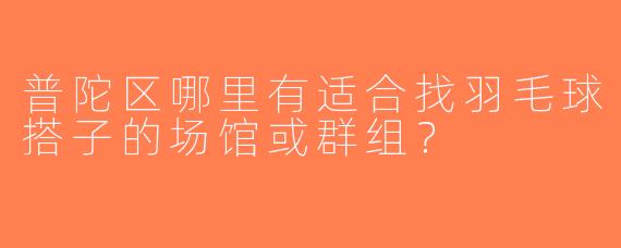 普陀区哪里有适合找羽毛球搭子的场馆或群组？