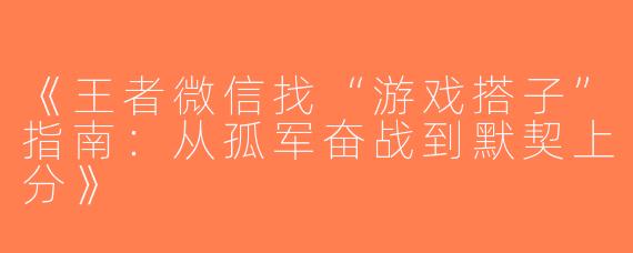 《王者微信找“游戏搭子”指南：从孤军奋战到默契上分》