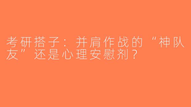 考研搭子：并肩作战的“神队友”还是心理安慰剂？