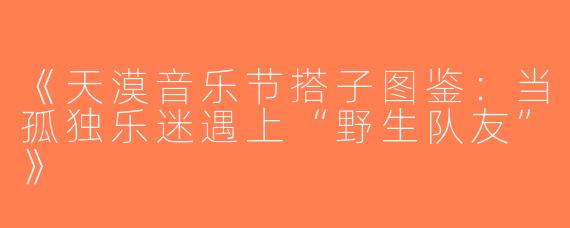 《天漠音乐节搭子图鉴：当孤独乐迷遇上“野生队友”》