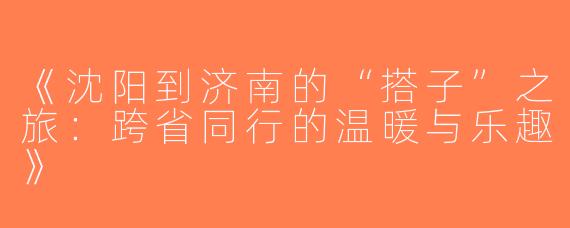 《沈阳到济南的“搭子”之旅：跨省同行的温暖与乐趣》