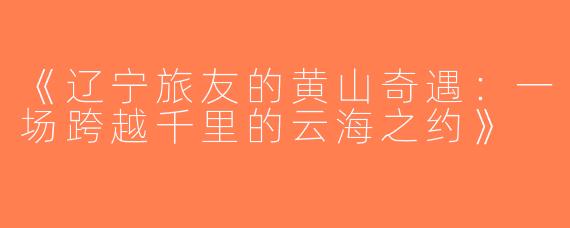 《辽宁旅友的黄山奇遇：一场跨越千里的云海之约》